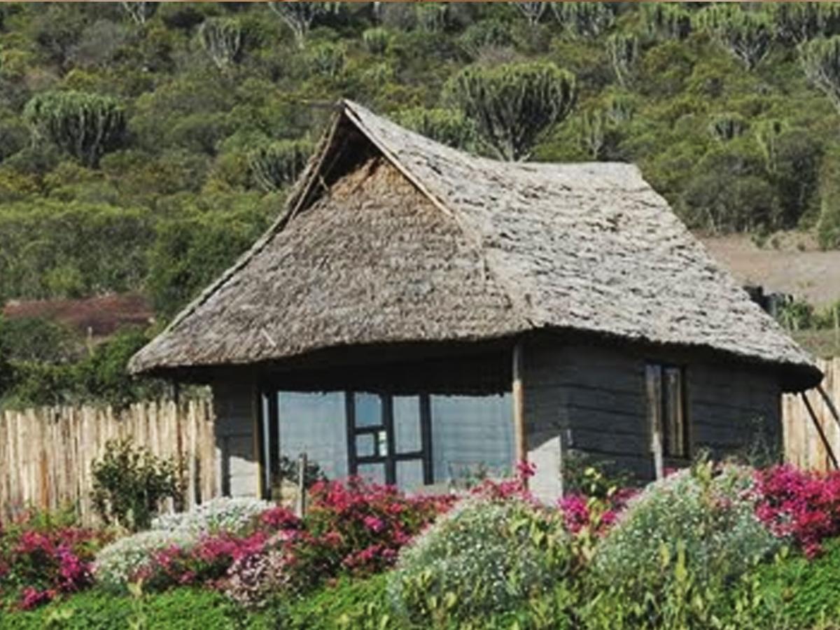 Rhino Watch Safarilodge Mweiga Zimmer foto